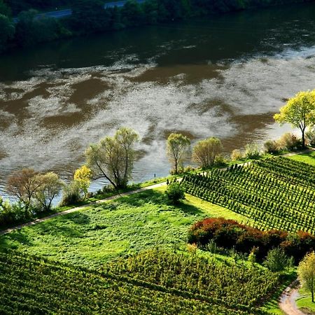Weingut Helmut Barzen Leilighet Zell an der Mosel Eksteriør bilde