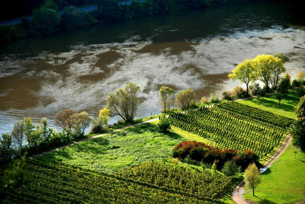 Weingut Helmut Barzen Leilighet Zell an der Mosel Eksteriør bilde