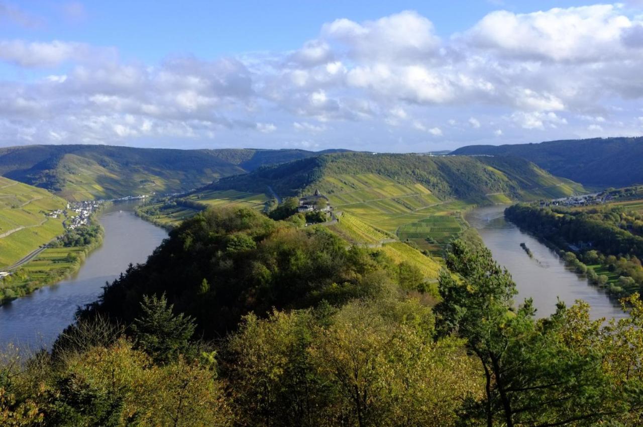 Weingut Helmut Barzen Leilighet Zell an der Mosel Eksteriør bilde